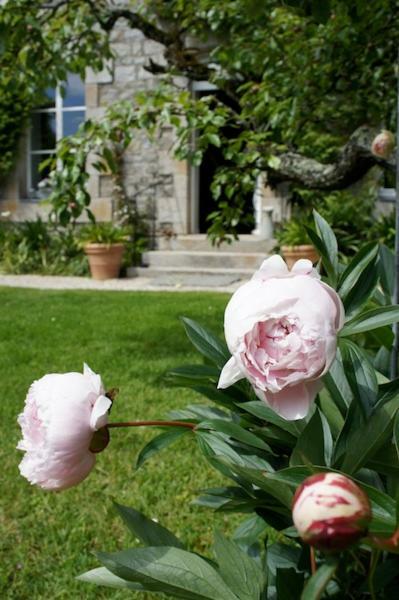 La Maison Les Mimosas Le Minihic-sur-Rance Buitenkant foto